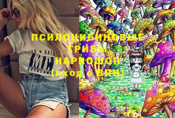 тгк Армянск