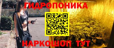прущие грибы Уссурийск