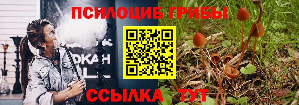 Галлюциногенные грибы мухоморы  Галлюциногенные грибы MAGIC MUSHROOMS  Арсеньев  Вход с VPN 